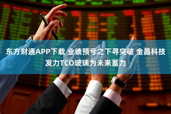 东方财通APP下载 业绩预亏之下寻突破 金晶科技发力TCO玻璃为未来蓄力